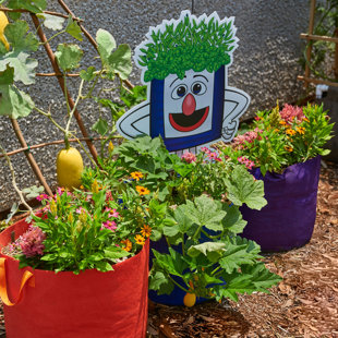 Pot Planter