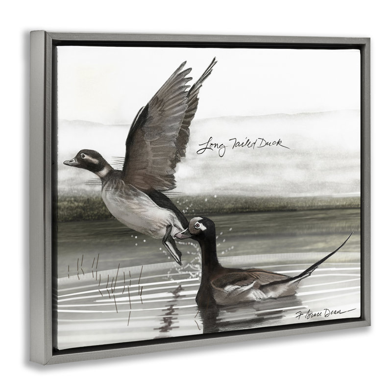 «Long Tailed Duck», art mural par Jadei, Cadre flottant gris lustré, H 25 po x l 31 po