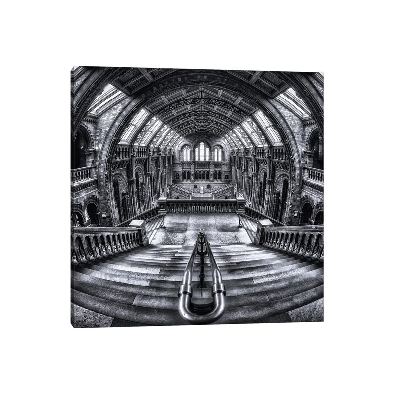 Harry Potter Meets Escher And Darwin by Massimo Cuomo - Wrapped Canvas Print, 30.48 cm H x 30.48 cm W