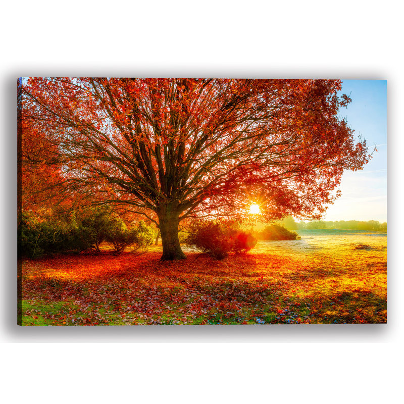 Forêt d'automne - Photographie sur toile tendue, H 14 po x l 20 po x P 1,5 po
