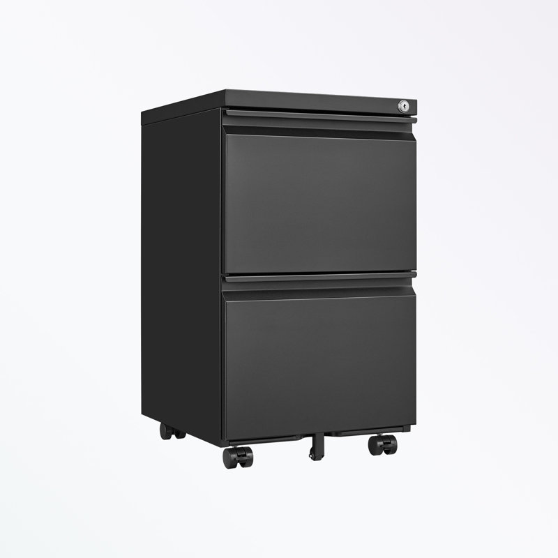 Mathusan 15.35'' Wide 2 - Drawer Filing Storage Cabinet, Black
