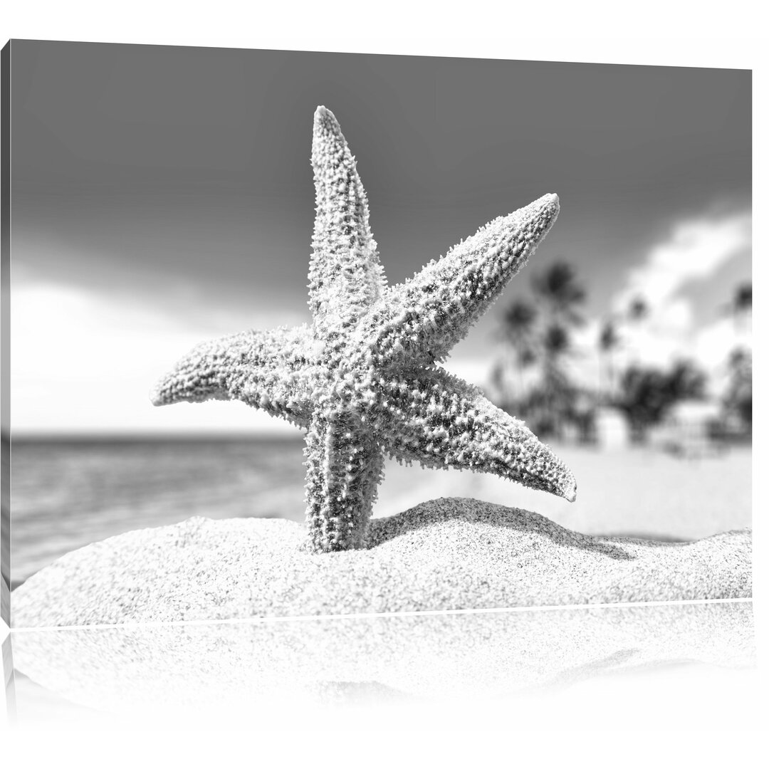 Leinwandbild „Seestern im Sandstrand von Palm Beach“, Fotodruck