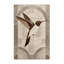 Tapis moelleux moelleux à motif arc-en-ciel art déco Freshford-1264096661