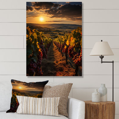 " French Vineyards In Bordeaux "
