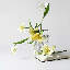 Petite tige de lys - 15 po-975267832-975267836