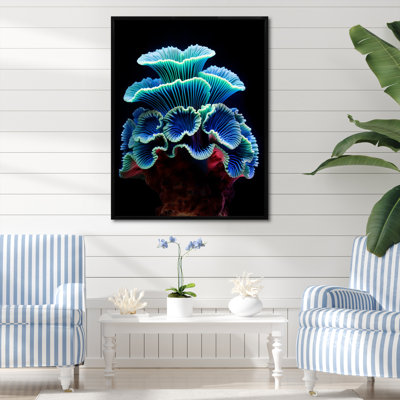 " Blue Anemone Reef "
