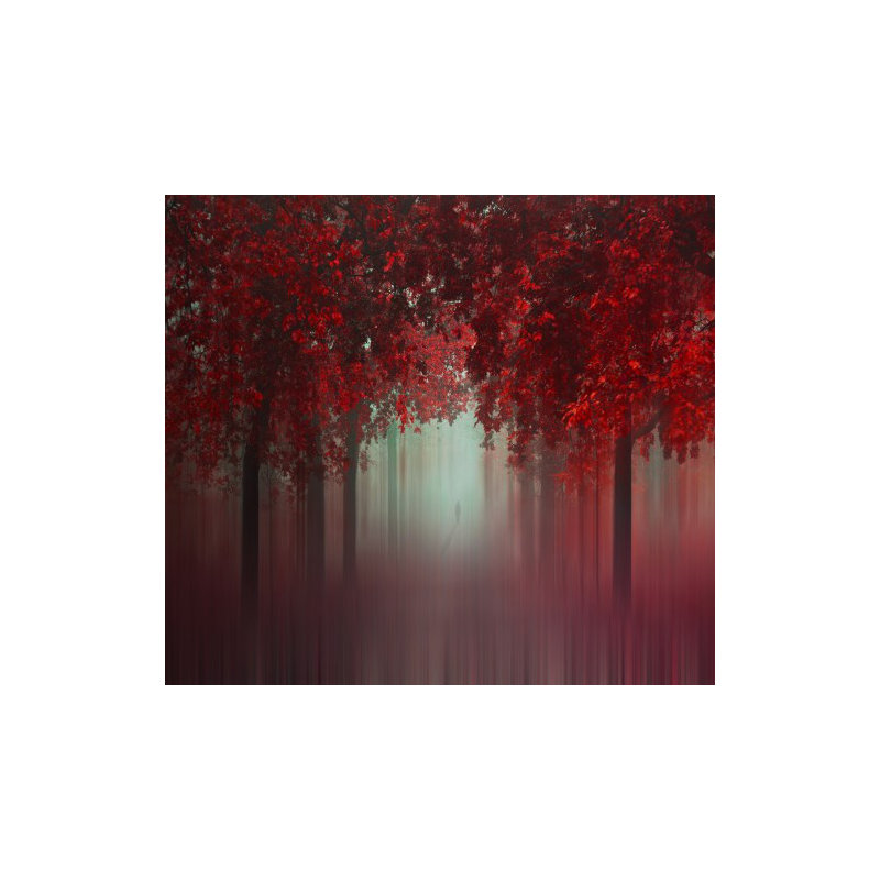 Wrapped Canvas Print, 60.96 cm H x 91.44 cm W
