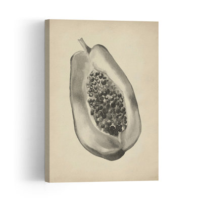 Tropical Papaya Half Organic Retro Vintage Fruit Plant Wall Art Print