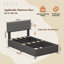 Upholstered Bed-840921216