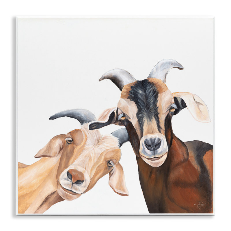 «Happy Goat», souriant, giclée par Diane Fifer