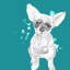Vivid Puppies II Painting by Elle Youngstrom-26761541