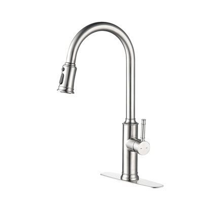 Kitchen Faucet With Pull Down Sprayer