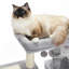 Tour pour chat 28,5 po de hauteur-117069132