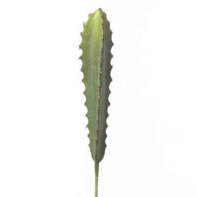 Tige de cactus column