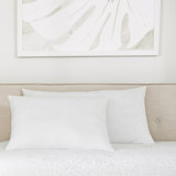 2-Pack Plush Bed Pillows Set