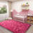 Shag Area Rugs for Living Room, 4x6 ft Soft Fluffy Rugs for Bedroom, Nursery, Kids Room Home Decor, Rose Red-1153120226