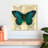 Crowle Silk Butterfly II-109395423