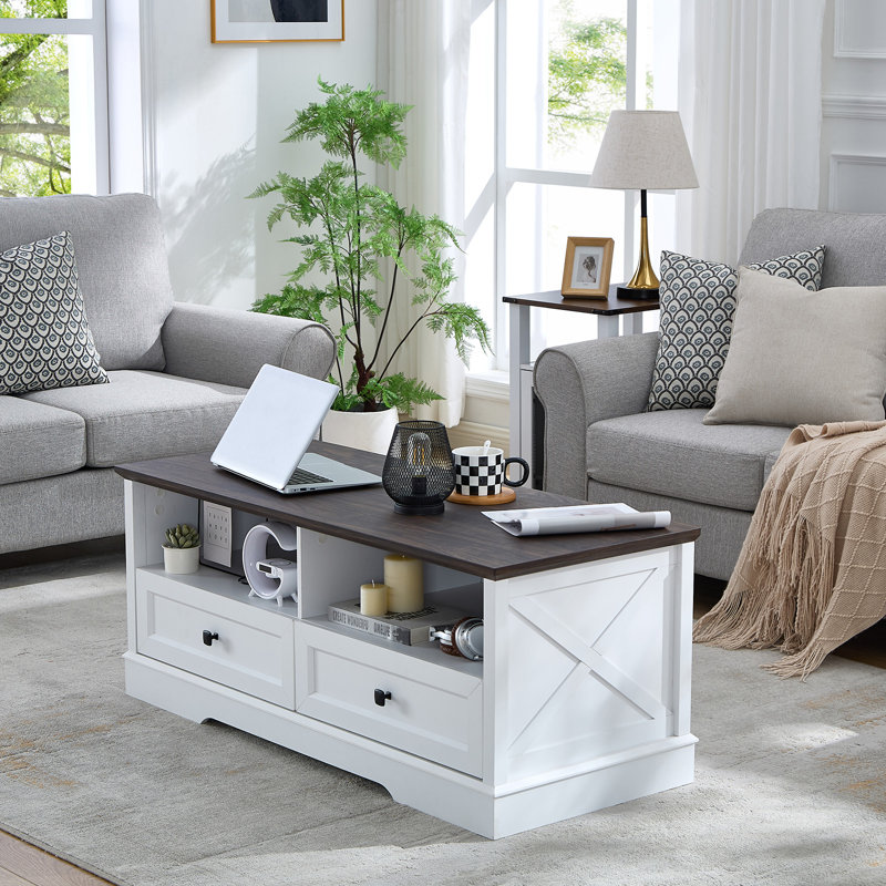 White and Dark Brown Rectangular Wood Coffee Table with Storage