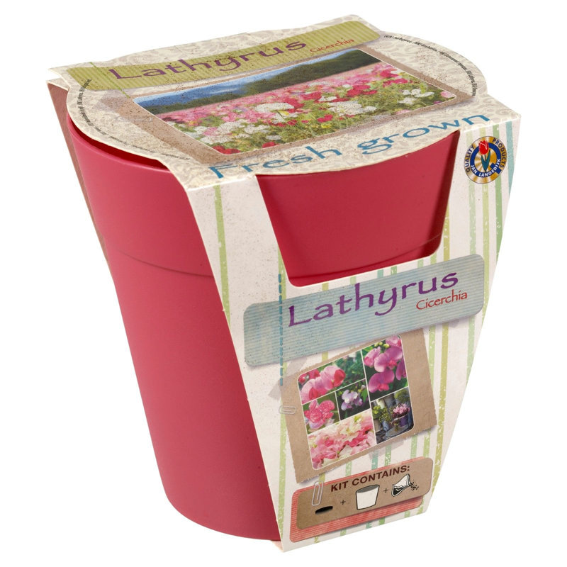 Kaylee Pot Planter, Pink
