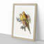 Princess of Wales's Parakeets by Elizabeth Gould - Picture Frame Painting Print-55601373-55601374