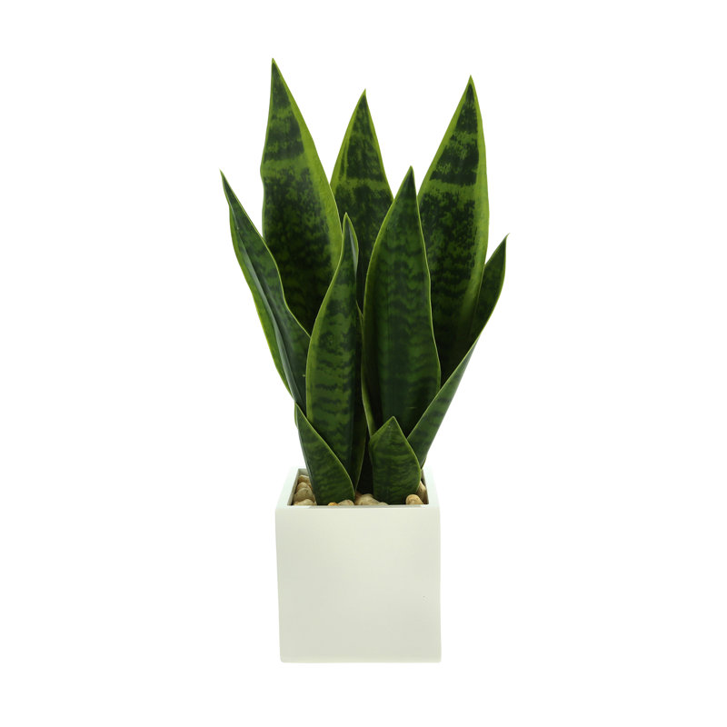 Fausse plante serpent 23 po Crestwood