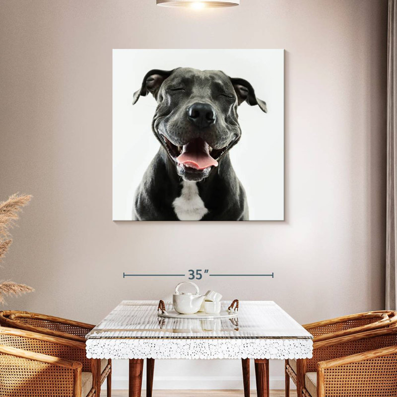 Crowle Smiling Black Pitbull