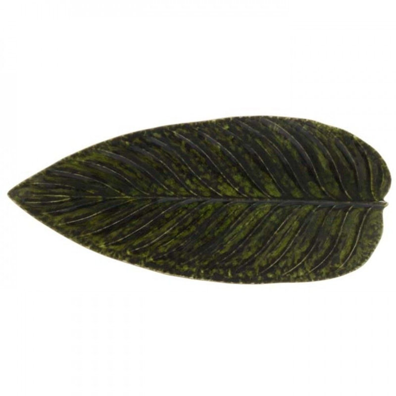 Feuille de strelizia Riviera Riviera 15,75 po