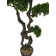 Panama 66'' Faux Bonsai Tree in Fiberstone Planter