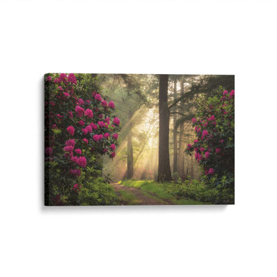 " Enchanted Path I "