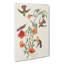 Mango Hummingbirds by John Audubon - Wrapped Canvas-55362836