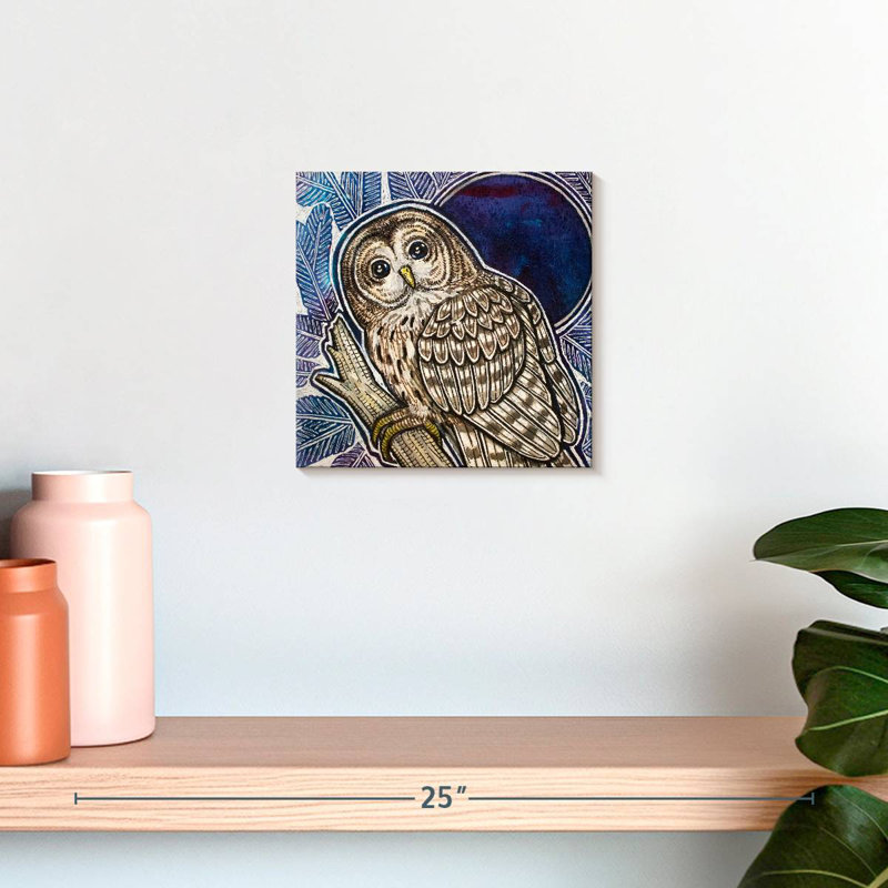 Crowle Barred Owl On Fir Tree, H 10 po x l 10 po