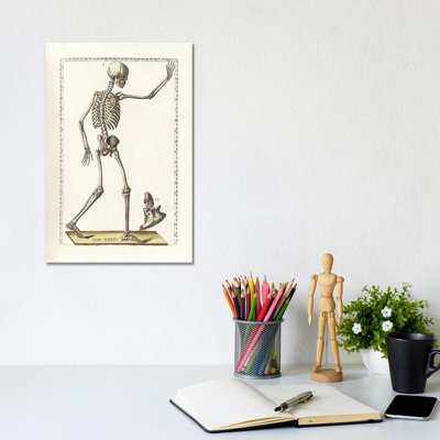 " The Science Of Human Anatomy VI " by National Library Of Medicine