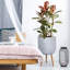 Geometric Patterned Cylinder Planter with Feet-350652352-350652354