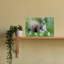 Curious Gray Squirrel Abstract Squirrel Forest Nature Wall Art Print 1 Piece Wrapped Canvas Wall Art-298398678