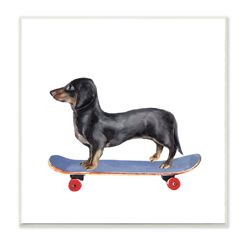 Chien teckel sur planche à roulettes bleue, Bois naturel, H 12 po x l 12 po x P 0,5 po
