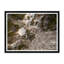 Tree Tops II Print by Tim Klein