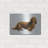 " Dachsund " by Harro Maass-102844956
