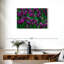 Tulipes violettes Alvord-108731692