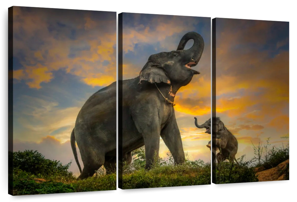 Ebern Designs Brampt Elephant Herd Call | Wayfair