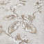 Perle, beige, poisson doré, écailles de poisson, plâtre, papier peint à branches florales