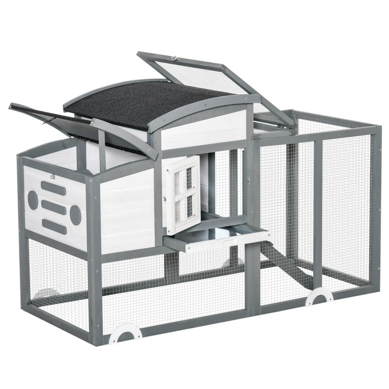 10m² Chicken Run