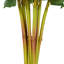 Tige de fleur artificielle Cole et Grey-855985872-855985876
