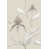 Linen/White