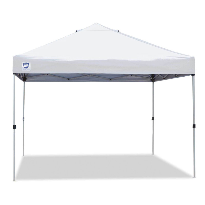 Straight Leg Instant 10 Ft. W x 10 Ft. D Steel Pop-Up Canopy