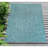 Ashwin Machine Woven Indoor/Outdoor Rug-1985746453