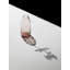 Glass Table Vase