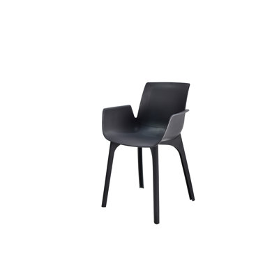 Katelan Outdoor Patio Dining Armchair with Cushion