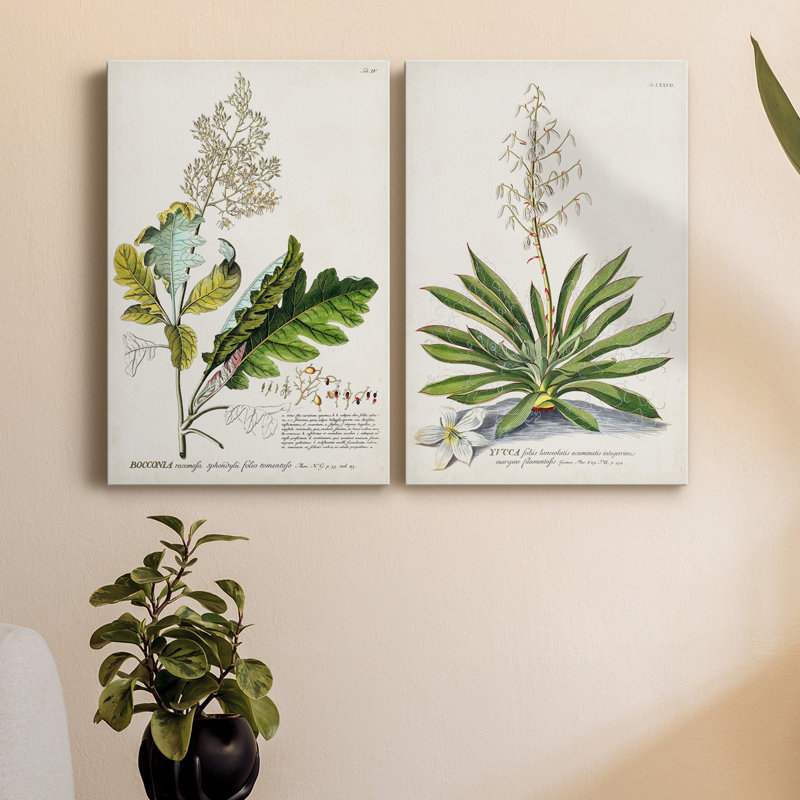 «Allurant Botanical I», ensemble de 2 reproductions d'art sur toiles, H 27 po x l 36 po x P 1 po, Toile tendue