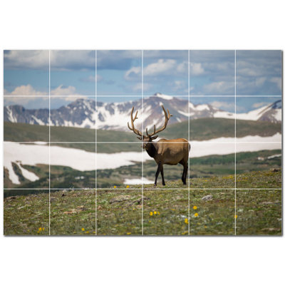 Photo de cerf 4,25 x 4,25