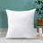 Reversible Pillow Insert-1443949595